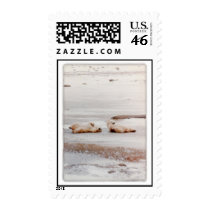 A day at the beach postage
