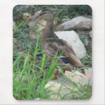 A Day at the Pond Series mousepads