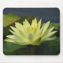 A Day at the Pond series mousepads