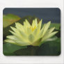 A Day at the Pond series Mouse Mat