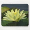 A Day at the Pond series mousepads by iiiyaaa A Day at the Pond series mousepads