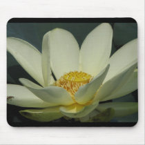 A Day at the Pond Series mousepads