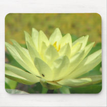 A Day at the Pond Series mousepads by iiiyaaa A Day at the Pond Series mousepads