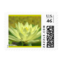 A Day at the Pond Series postage by iiiyaaa A Day at the Pond Series postage