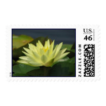 A Day at the Pond Series postage