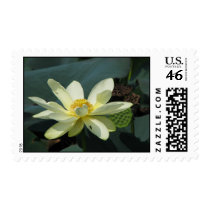 A Day at the Pond Series postage by iiiyaaa A Day at the Pond Series postage