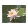 A Day at the Pond Series Postcards