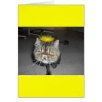 A day at the salon! cards