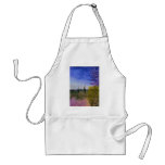 A Day in the Arizona Desert Aprons