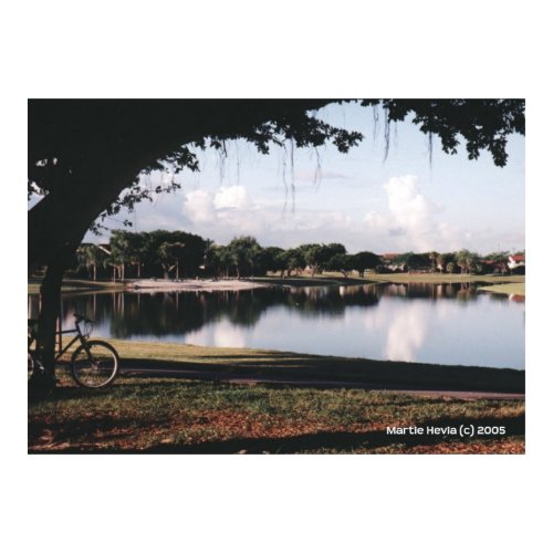 A Day in the Park print