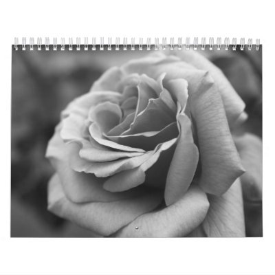 A Day In The Sun Wall Calendar A Day In The Sun Wall Calendar