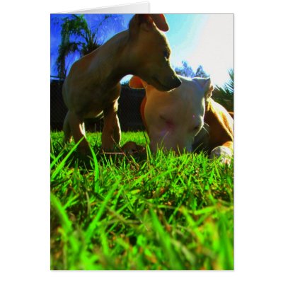 A day in the sun greeting cards by kawieesaki