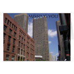 A Days Walk Through Chicago Greeting Cards