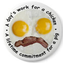 A Day's Work For A Chicken... buttons by malibuitalian A Day's Work For A Chicken... buttons