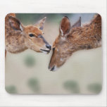 A deers best friend mousepad
