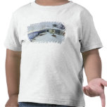 A deserted manor house tshirts