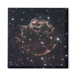 A detailed view at the tattered remains fridge magnet