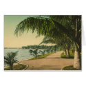 A Different Florida cards by tnmpastperfect A Different Florida cards