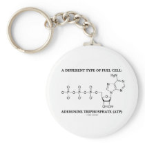 A Different Type Of Fuel Cell (ATP) Key Chains