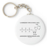 A Different Type Of Fuel Cell (ATP) keychains