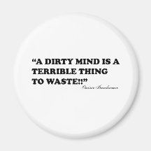 A Dirty Mind Is A Terrible Thing To Waste Fridge Magnet