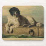 A Distinguished Member of the Humane Society Mousepads
