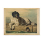 A Distinguished Member of the Humane Society Post Card