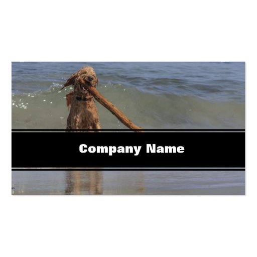 A Dog Day Afternoon Business Card Templates