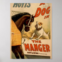 A dog in the Manger, 'Hoyt's' Vintage Theater Print