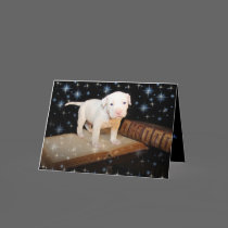 A Dog Is For Life, Not Just For Christmas cards