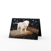 A Dog Is For Life, Not Just For Christmas cards by beverlytazangel A Dog Is For Life, Not Just For Christmas cards