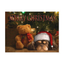 A Dog Is For Life Not Just For Christmas postcards