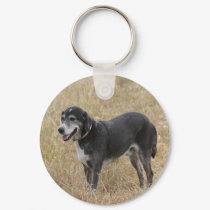 A dog keychains