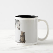 A dog looking at a cat coffee mug