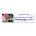 A DOG NAMED TUNA!ADOPT A PUPP... bumper stickers