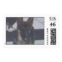a dog postage by SAPPYJIM a dog postage
