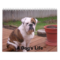 A Dog's Life calendars by denatimm A Dog's Life calendars