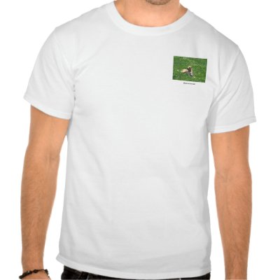 A dogs life t-shirt by AngelaCarol