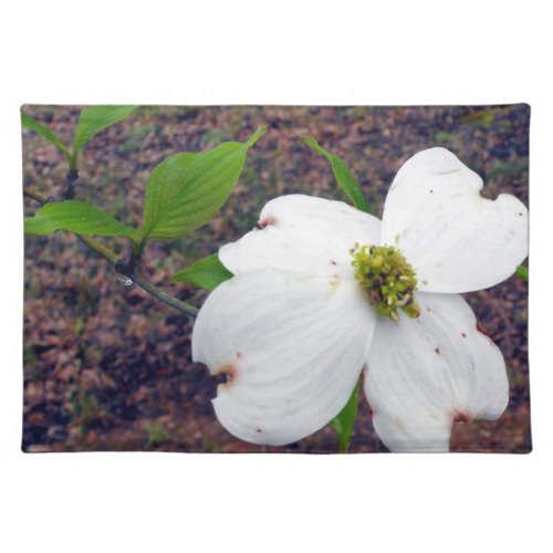 A Dogwood Flower-B Placemat placemat