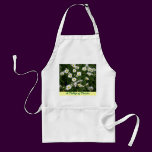 A Dollop of Daisies