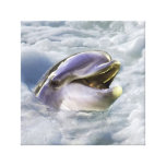 A dolphin's best smile canvas print