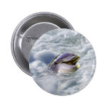 A dolphins best smile pinback button