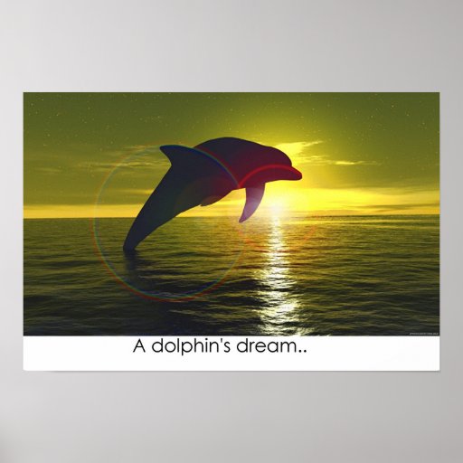 A dolphin's dream poster