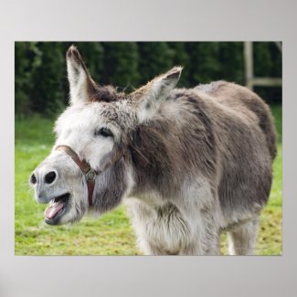  - a_donkey_posters-r91c35db3e2f54e0e95240c3c37816ca8_wv3_8byvr_325