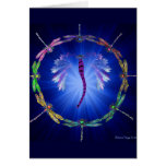 A Dragonfly Dance Cards