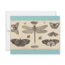 A dragonfly, ladybirds, and butterflies invitations by MyOtherPlanet A dragonfly, ladybirds, and butterflies invitations