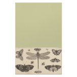 A dragonfly, ladybirds, and butterflies stationery