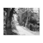 A Dream of Black and White Post Cards