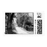 A Dream of Black and White Stamp