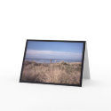A Dry Dune Grass Day cards